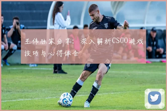 王伟独家分享：深入解析CSGO游戏技巧与心得体会