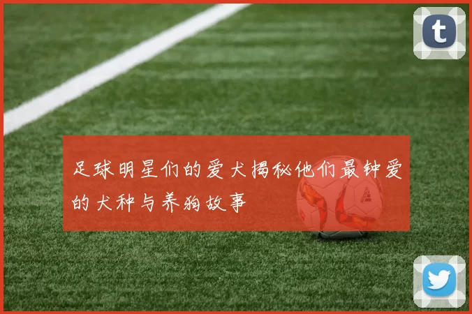 足球明星们的爱犬揭秘他们最钟爱的犬种与养狗故事