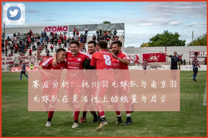 赛后分析：杭州羽毛球队与南京羽毛球队在灵活性上的较量与启示