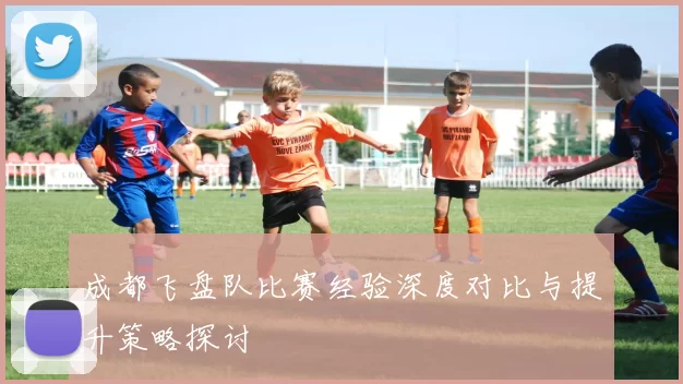 成都飞盘队比赛经验深度对比与提升策略探讨