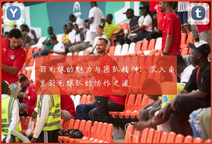 羽毛球的魅力与团队精神：深入南京羽毛球队的协作之道