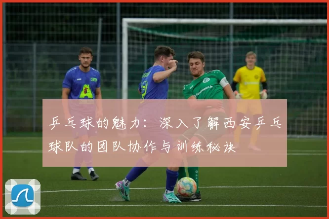 乒乓球的魅力：深入了解西安乒乓球队的团队协作与训练秘诀