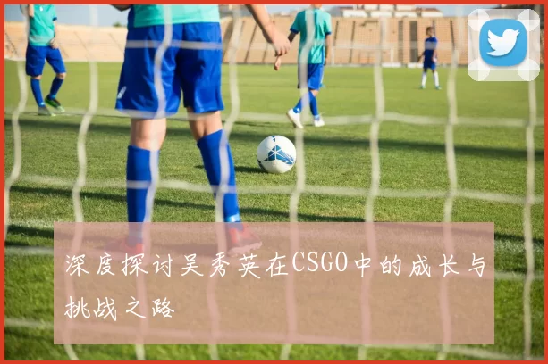 深度探讨吴秀英在CSGO中的成长与挑战之路