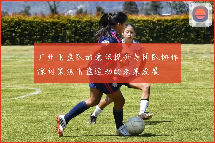 广州飞盘队的意识提升与团队协作探讨聚焦飞盘运动的未来发展
