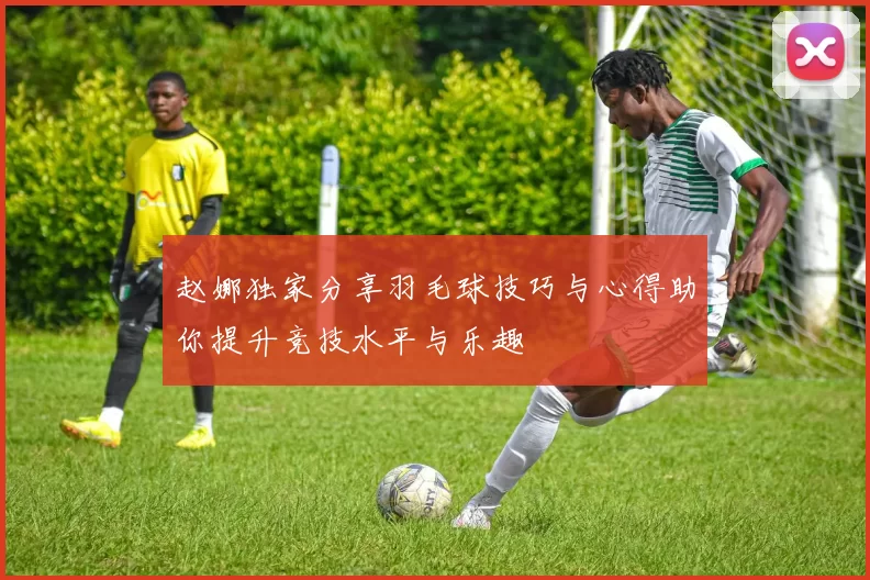 赵娜独家分享羽毛球技巧与心得助你提升竞技水平与乐趣