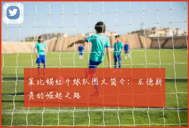 莱比锡红牛球队图文简介：东德新贵的崛起之路