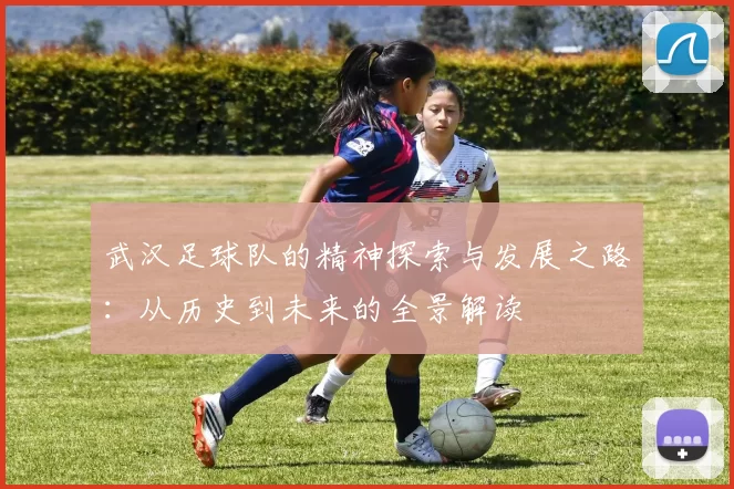 武汉足球队的精神探索与发展之路：从历史到未来的全景解读