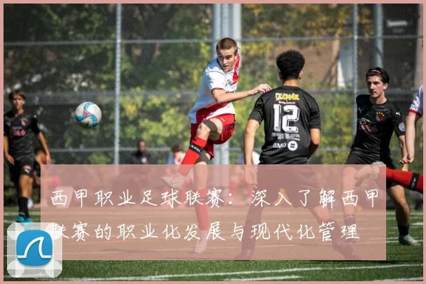 西甲职业足球联赛：深入了解西甲联赛的职业化发展与现代化管理