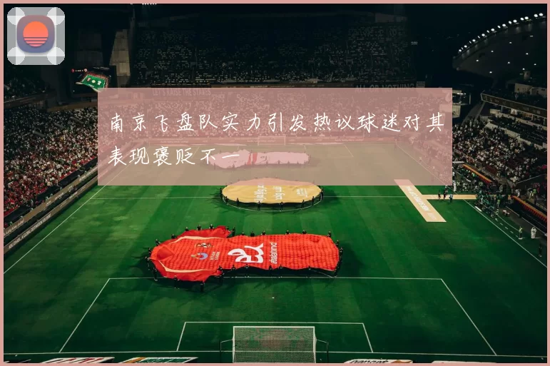 南京飞盘队实力引发热议球迷对其表现褒贬不一