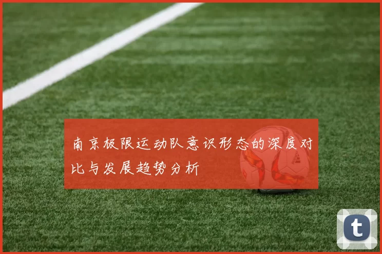 南京极限运动队意识形态的深度对比与发展趋势分析