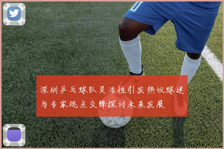 深圳乒乓球队灵活性引发热议球迷与专家观点交锋探讨未来发展
