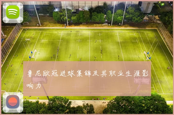 鲁尼欧冠进球集锦及其职业生涯影响力