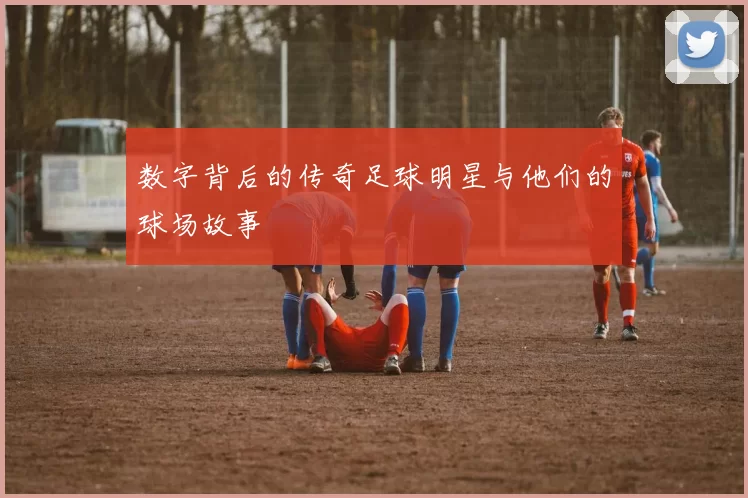 数字背后的传奇足球明星与他们的球场故事