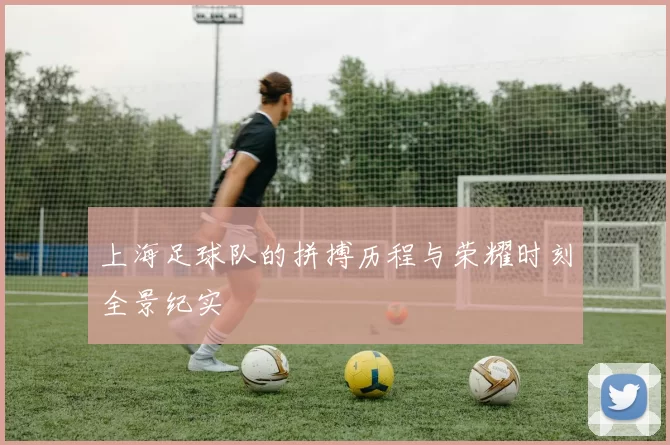 上海足球队的拼搏历程与荣耀时刻全景纪实