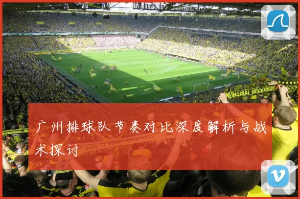 广州排球队节奏对比深度解析与战术探讨