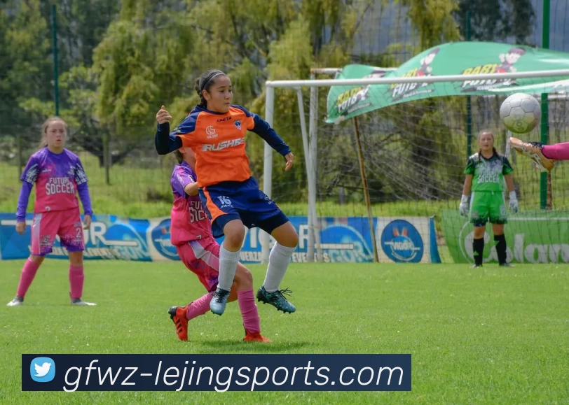 lejing乐竞平台生态图